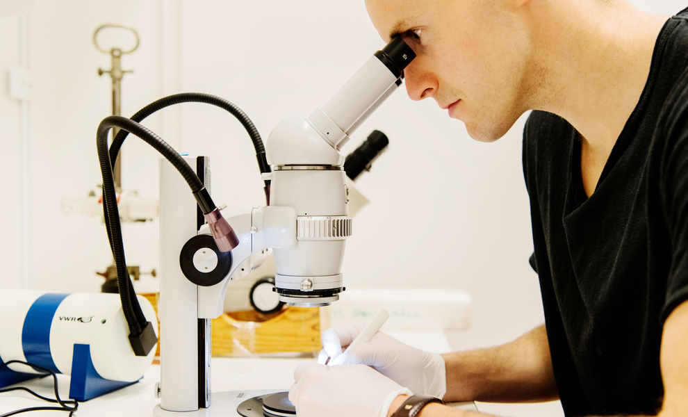 Forskare tittar i mikroskop